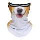Primary Color Ear-Hanging Sun-Protective Face Mask