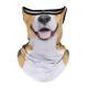 Primary Color Ear-Hanging Sun-Protective Face Mask