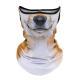 Primary Color Ear-Hanging Sun-Protective Face Mask