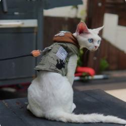 Outdoor Pet Half-Shirt For Hiking And Camping