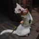 Outdoor Pet Half-Shirt For Hiking And Camping