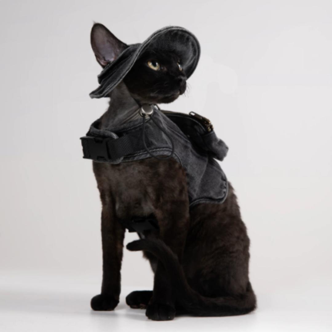 Adjustable Traction Vest And Fishermans Hat Set For Walking A Cat In Devon.