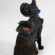 Adjustable Traction Vest And Fishermans Hat Set For Walking A Cat In Devon.
