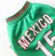 Mexico Pet Dog Jersey Costume, Summer Cooling Mesh Fabric, Soccer Sportswear Team Jersey, Lightweight Football Casual Clothes For Small Dogs