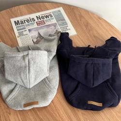 schnauzer-pet-dog-and-cat-small-dog-clothing
