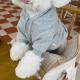 Schnauzer Pet Dog And Cat Small-dog Clothing