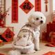 Traditional Chinese-style Vintage-print Pet New Year Outfit