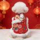 Traditional Chinese-style Vintage-print Pet New Year Outfit