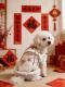Traditional Chinese-style Vintage-print Pet New Year Outfit