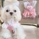 Pet Cat And Dog Clothing Thin Denim Harness Dress