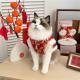 Underwear Ragdoll Silver-shaded Kitten Pet Tang Suit