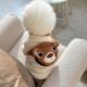 Sending A Small Package Of Dog Clothes For Teddy With A Heart