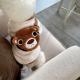 Sending A Small Package Of Dog Clothes For Teddy With A Heart