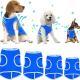 Sweat Absorbing Dog Vest Summer Cooling Vest