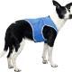 Sweat Absorbing Dog Vest Summer Cooling Vest