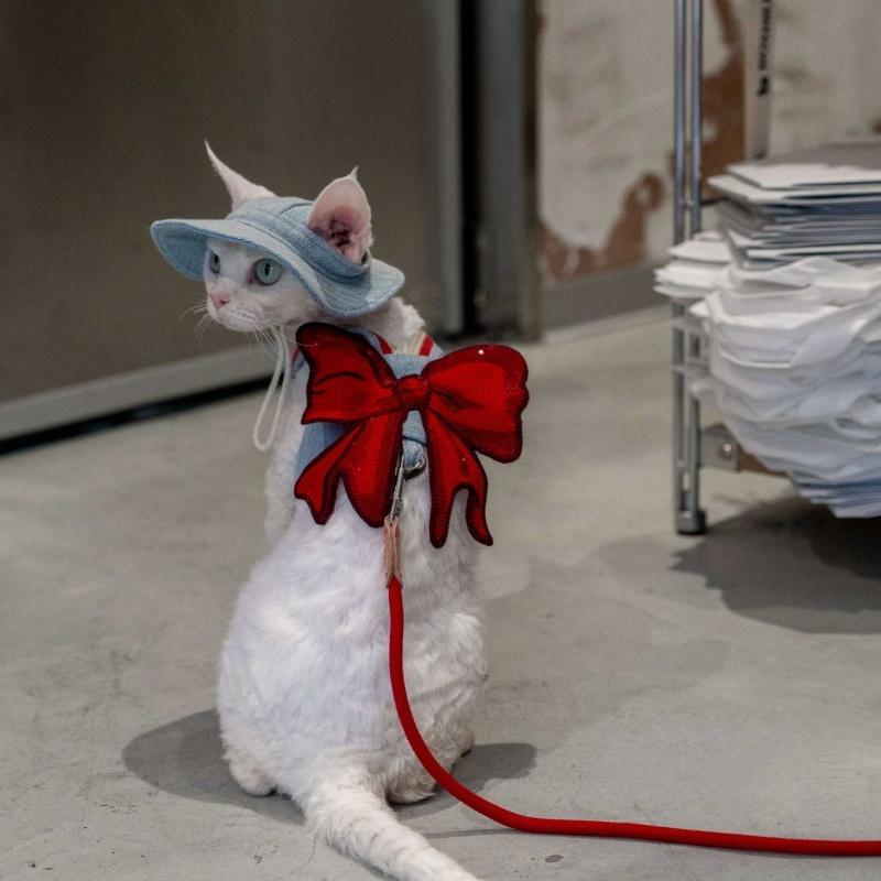 Sphynx Cat Chest Harness With Red Bow And Leash