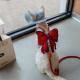 Sphynx Cat Chest Harness With Red Bow And Leash