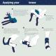 Cat Foreleg Injury Support Brace For Recovery From Joint Ligament Tear