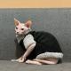 Winter Furless Cat Stretchy Fleece-Lined Thickened Warm Soft Sphinx Devon Rex Cat Clothes