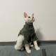 Autumn Double-sided Fleece Hairless Cat Clothes