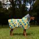 Dog Raincoat Waterproof Hoodie Pet Clothing Outdoor Dog Walking Shell Jacket