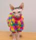 Hairless Cat Winter Clothes Rainbow Plaid Thickened Rabbit Fur Warm Hoodie Sphinx Devon Rex Cat Apparel