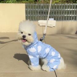 Waterproof Full-Covering Rain Poncho With Hood For Small And Medium-Sized Dogs
