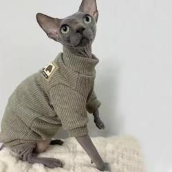 autumnwinter-hairless-cat-clothes-devon-sphinx-cat-thickened