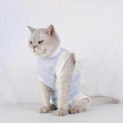 Post-Operative SpayNeuter Recovery Suit For Cats With Anti-Licking Sleeve And Strap