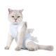 Post-Operative SpayNeuter Recovery Suit For Cats With Anti-Licking Sleeve And Strap