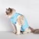 Post-Operative SpayNeuter Recovery Suit For Cats With Anti-Licking Sleeve And Strap