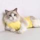Post-Operative SpayNeuter Recovery Suit For Cats With Anti-Licking Sleeve And Strap