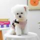 Warm And Cozy Lambswool Patchwork Harness Vest