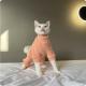 Soft Stretchy Clothing For Sphynx Cats In Fall And Winter