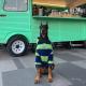 Stylish Extra-thick Warm Clothing For Large Dogs