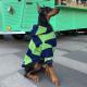 Stylish Extra-thick Warm Clothing For Large Dogs