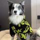 Stylish Extra-thick Warm Clothing For Large Dogs