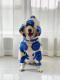 Stylish Extra-thick Warm Clothing For Large Dogs