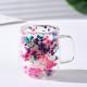 Double-layer Borosilicate Glass Cup