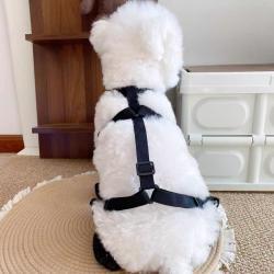 Lightweight Comfortable Four-season Pet Shoes For Outdoor Wear
