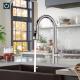 Kitchen Sink Mixer Taps Pull Out Spout Spray Single Lever Modern Mono Tap