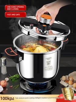 6 8 Litre Home Dual Handle Stainless Steel Pressure Cooker Kitchen Cookware