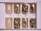 Press On Nails GD329
