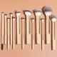 13-Piece Long-Handle Makeup Brush Set