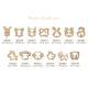 Zodiac-themed Nail Art Tools And Nail Accessories