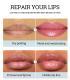 Fruit Flavor Glossy Lip Oil Natural Long Lasting Hydrating Plump Lip Gloss Moisturizing Shiny Watery Lip Tint