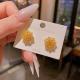 Gold-plated Micro-pave Cubic Zirconia Fireworks Stud Earrings