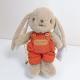 Hand Embroidered Name Plush Bunny