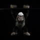 Silverback Gorilla Plush Toy
