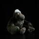 Silverback Gorilla Plush Toy